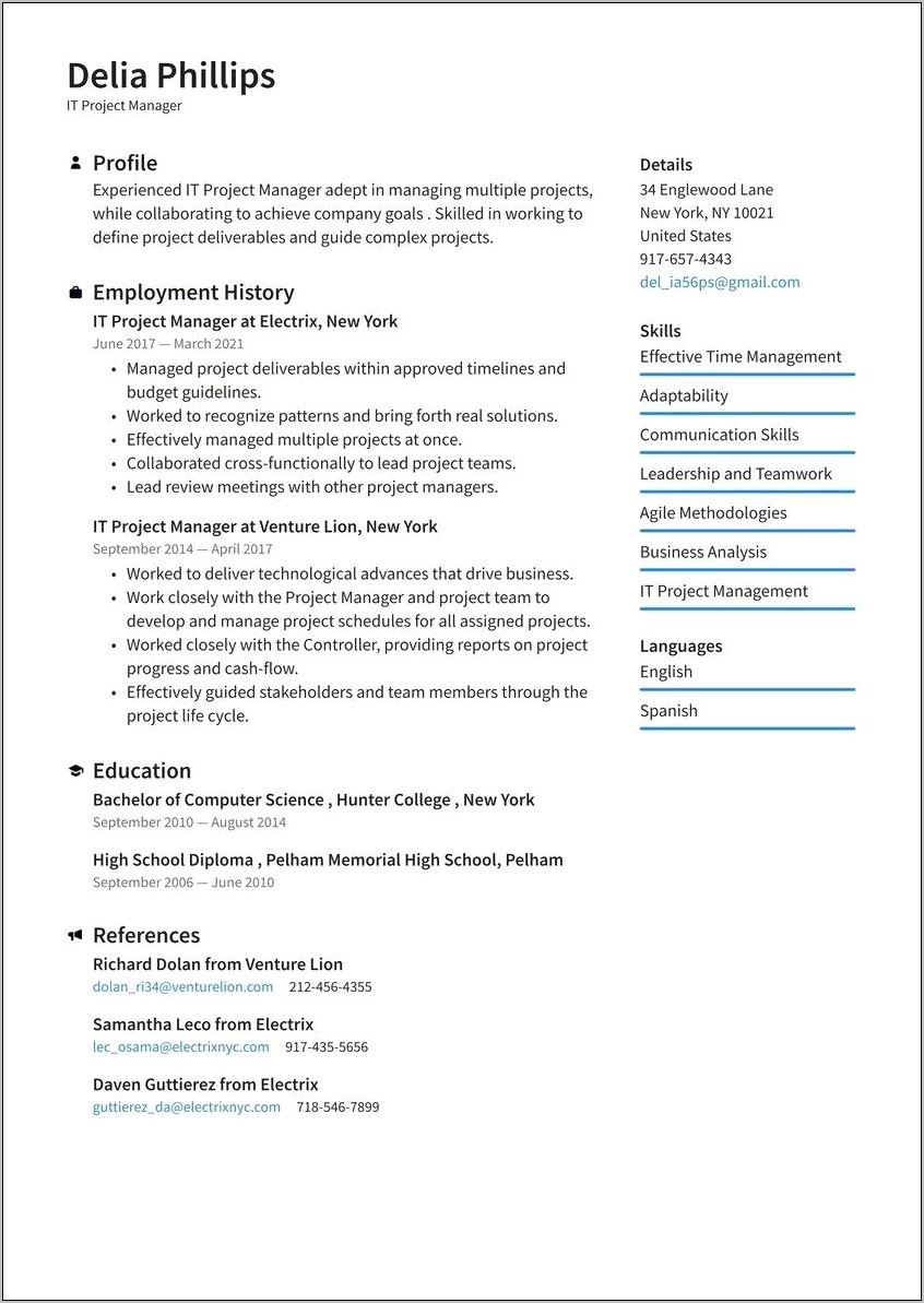Agile Project Management Resume Summary