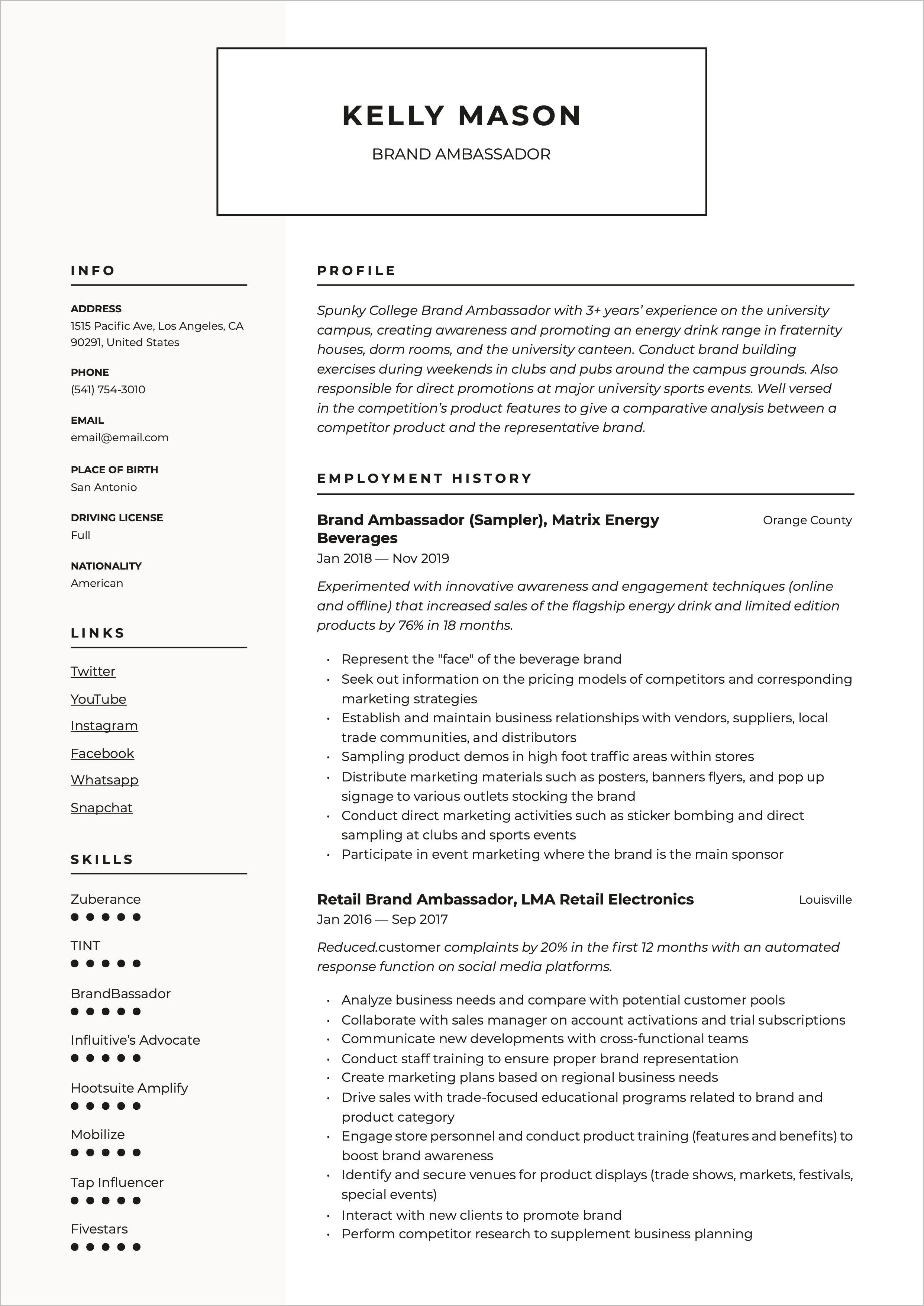 Ambassador Resume Template Free Download