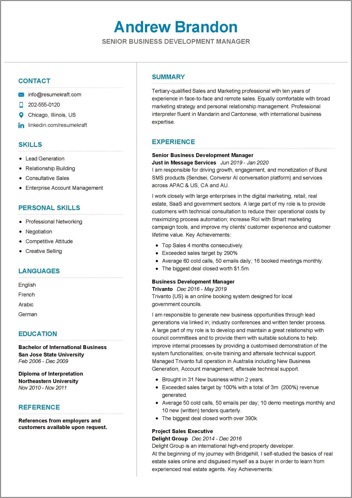 Application Development Manager Resume Examples