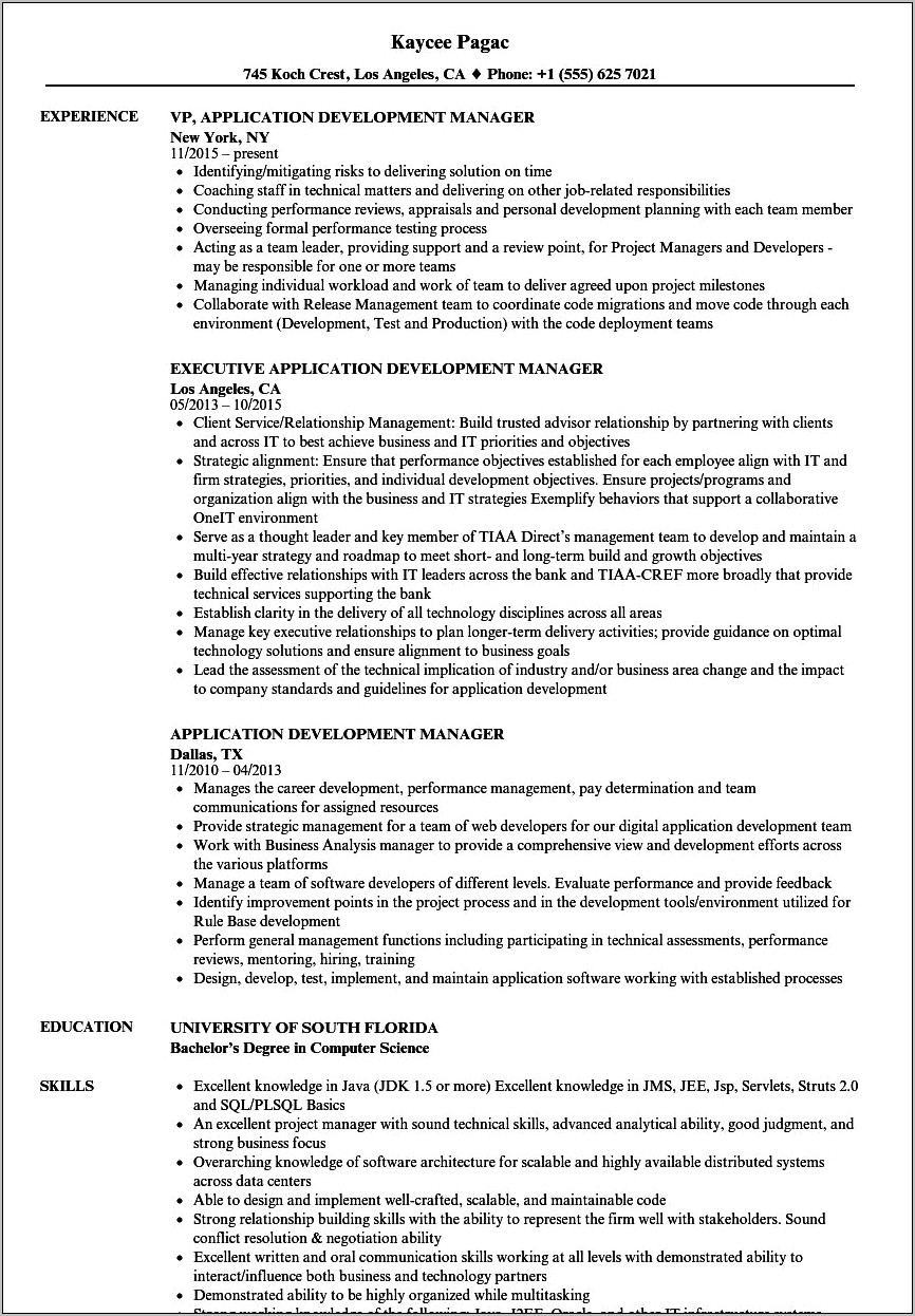 Application Development Manager Sample Resume