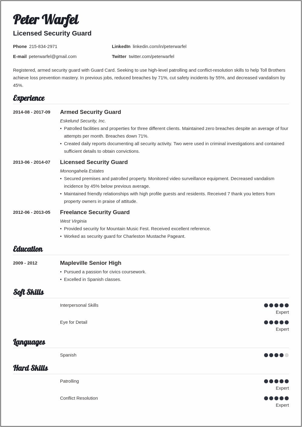 Armed Security Guard Resume Sample