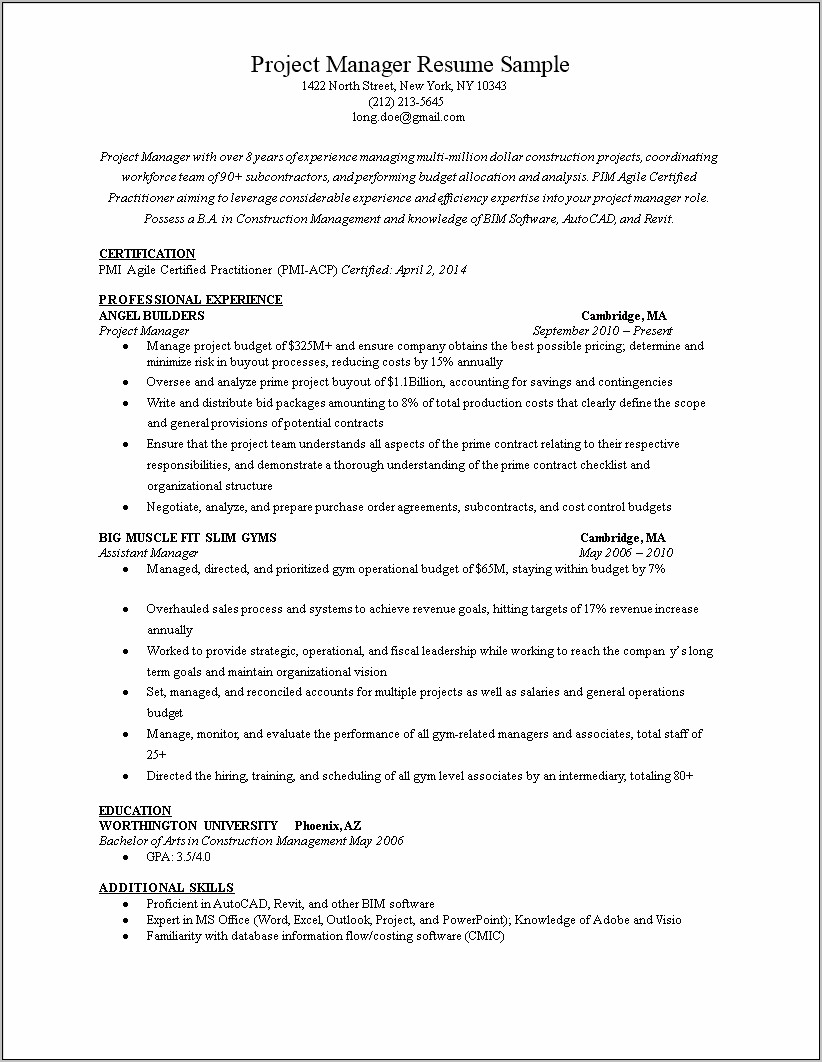 Assistant Manager It & Projects Resume