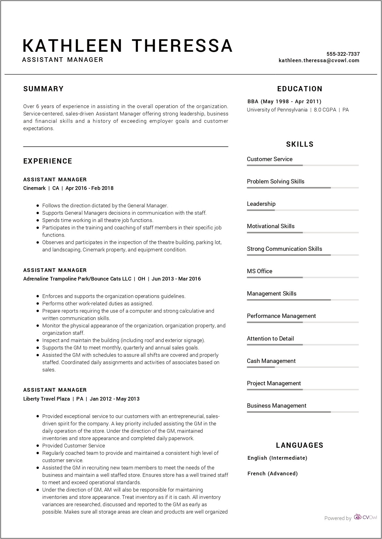 Assistant Manager It Resume Sample