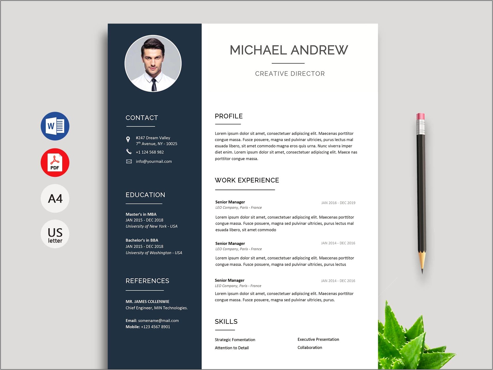 Attractive Resume Templates Free Download