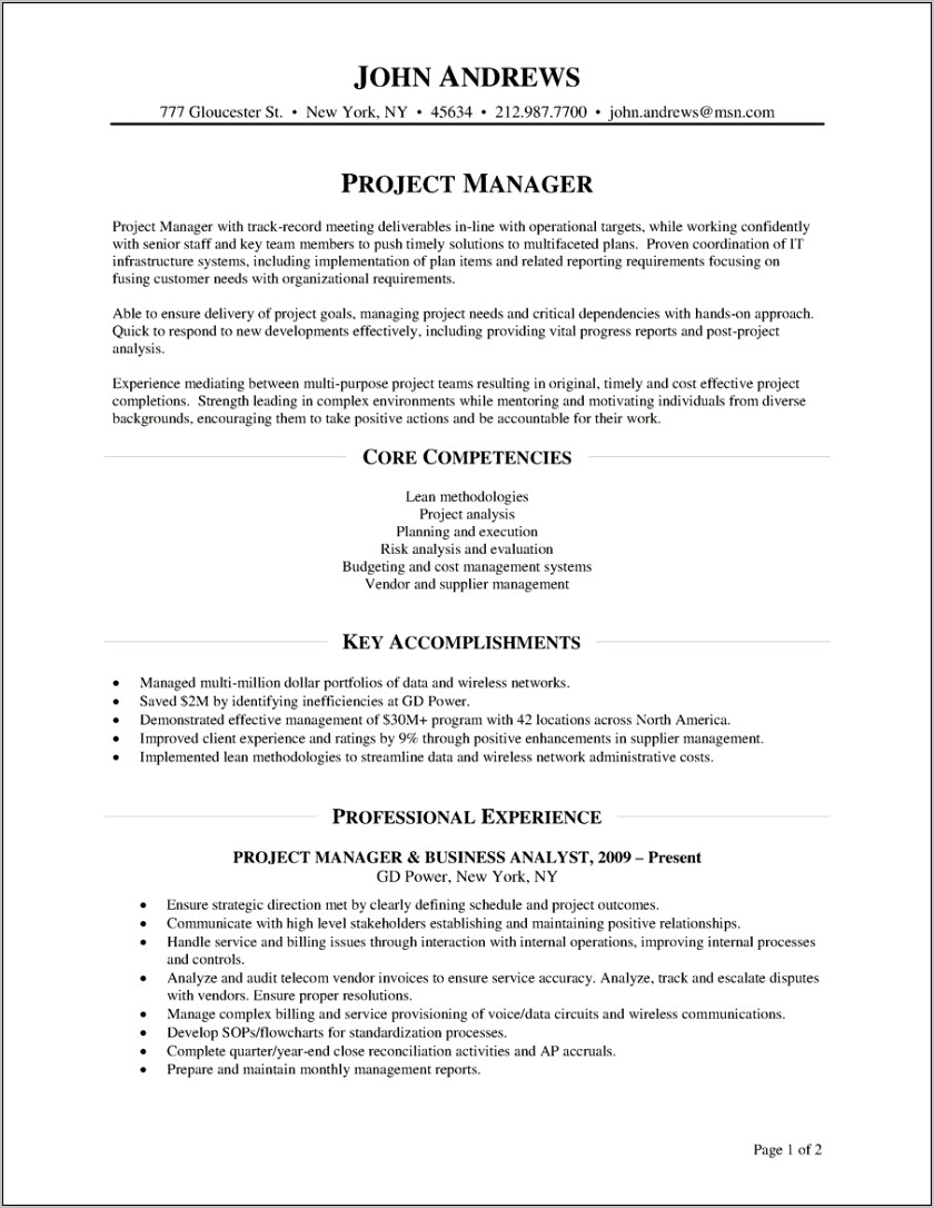 Bank Project Manager Resume Sample