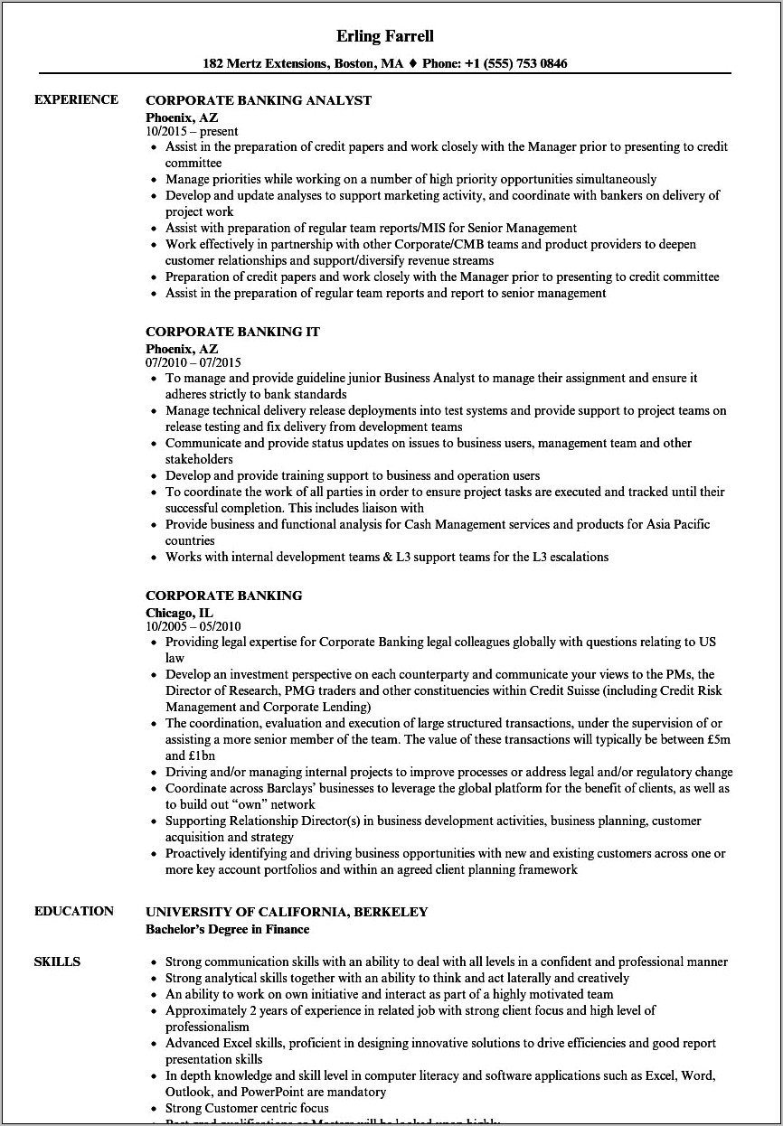 Banking Business Development Skills Resume