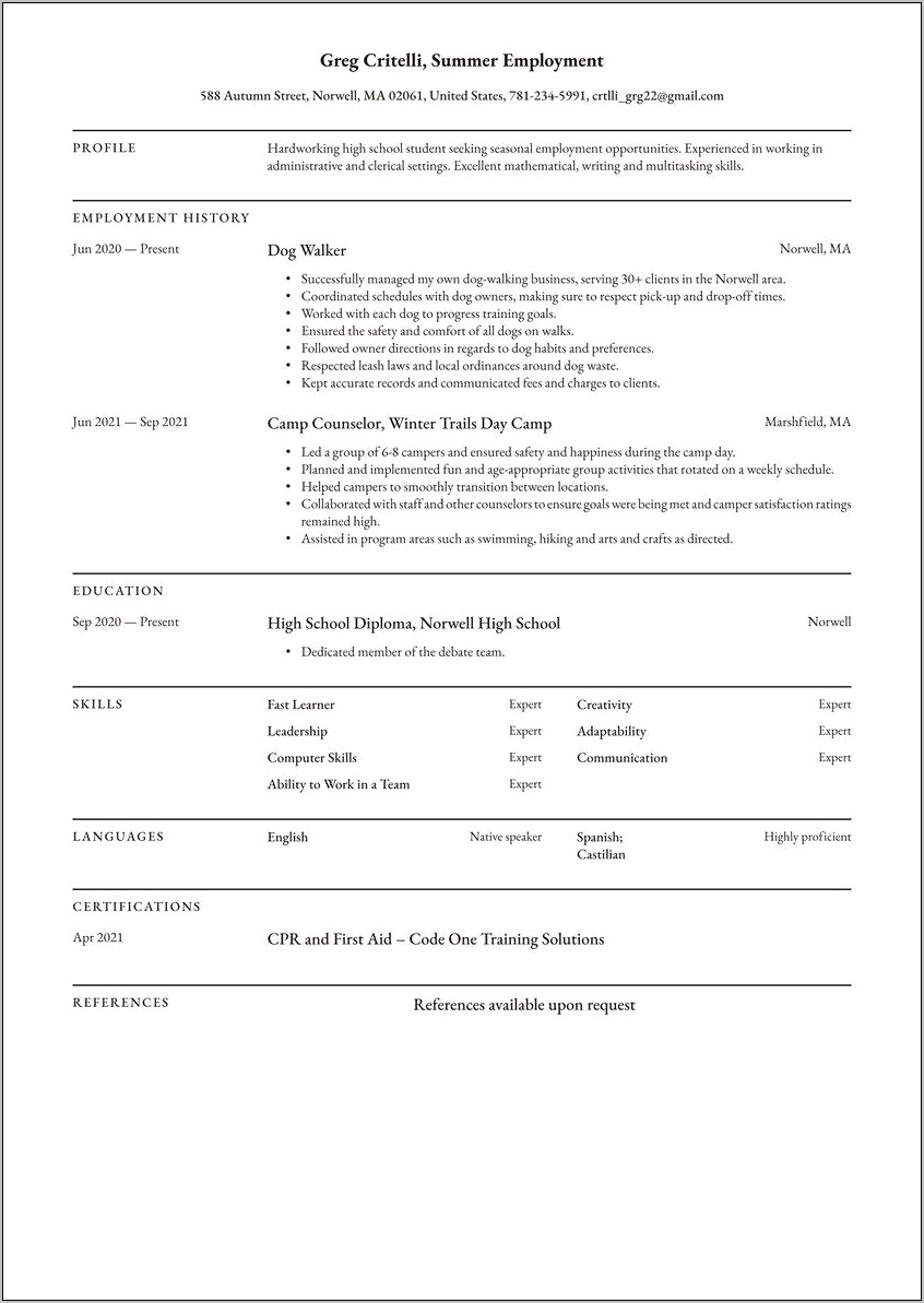 Beginner High School Resume Sample