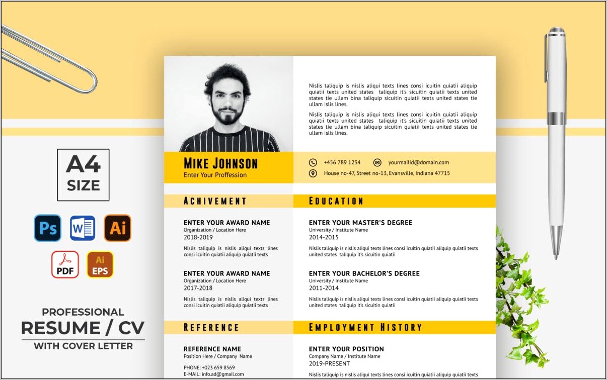 Best It Resume Format 2014