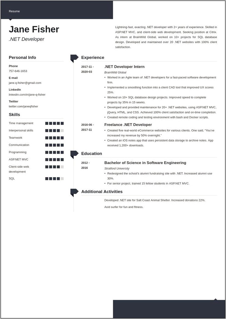 Best Resume For Net Developer