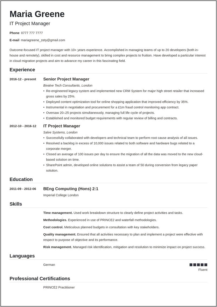 Best Resume Sample Project Manager