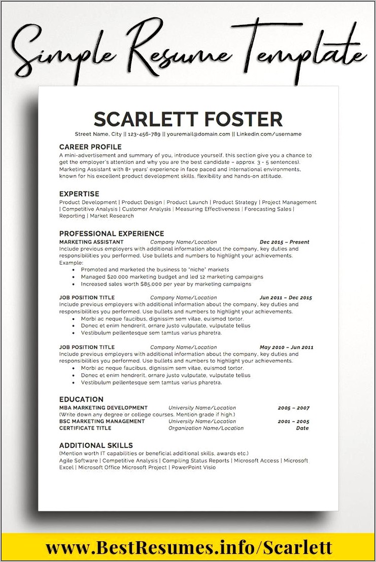 Best Sample Resume Format 2015