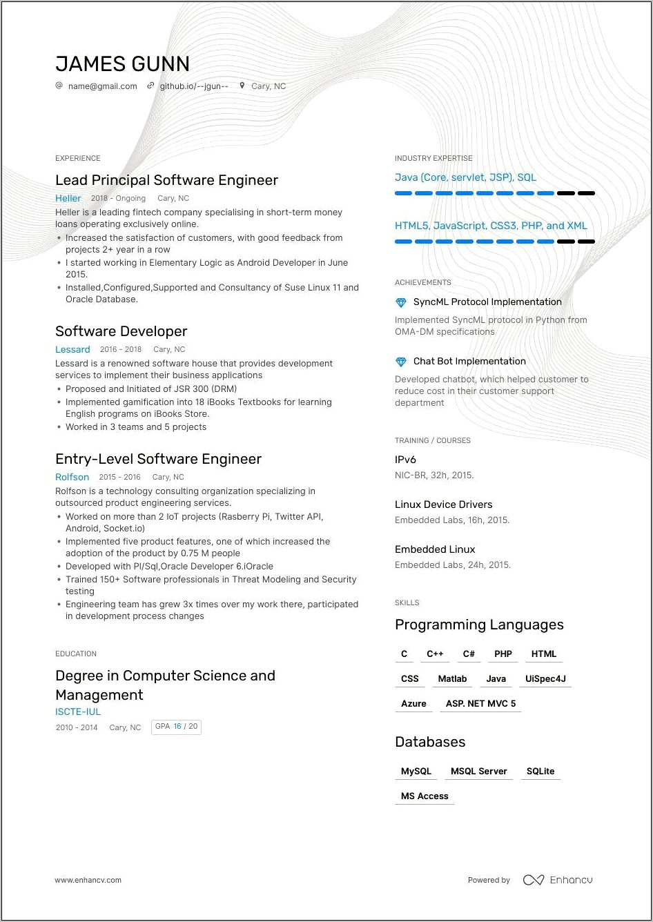 Best Software Developer Resume T