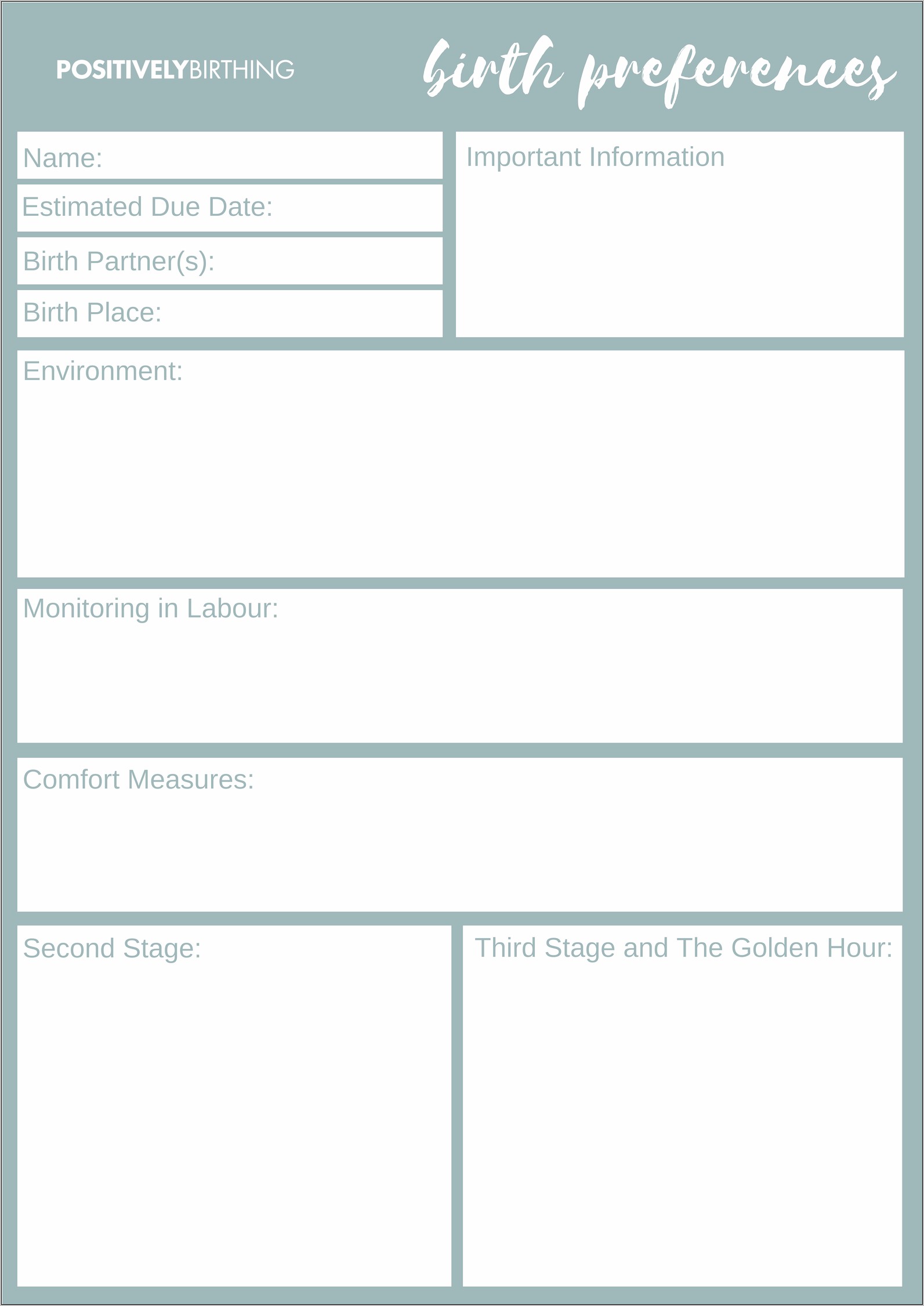 Birth Plan Template Download Word Document