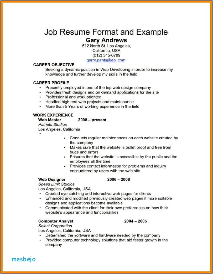 Border Patrol Application Resume Example