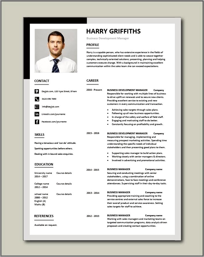 Business Development Sample Resume Template