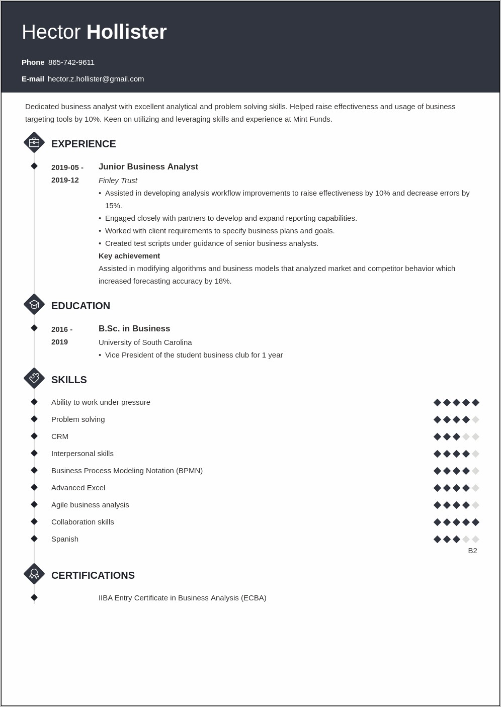 Business Systems Consultant Resume Example