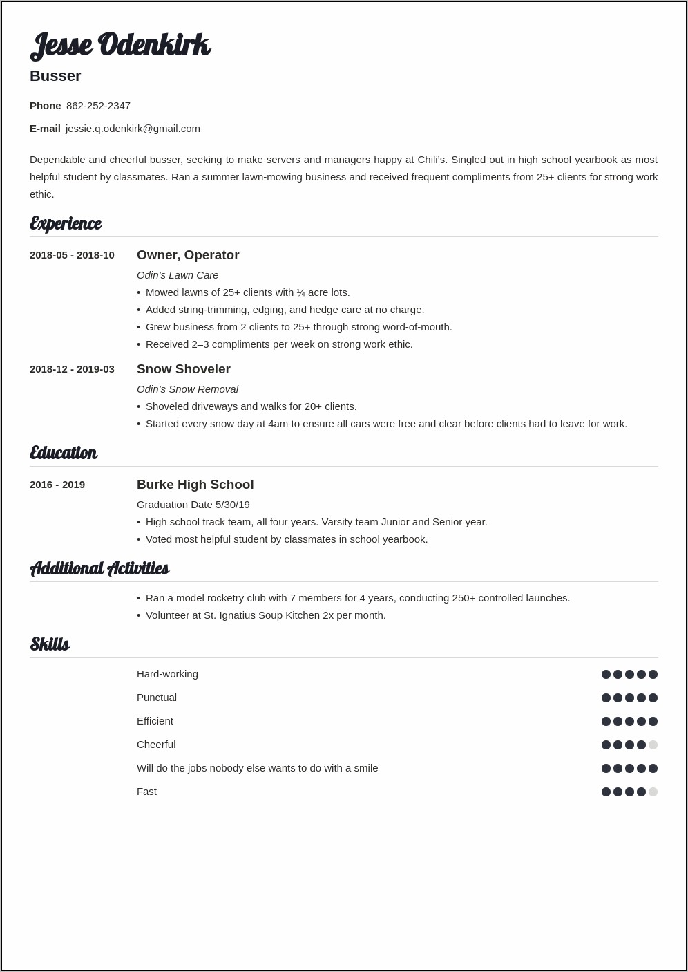 Busser Resume Sample Doc Free