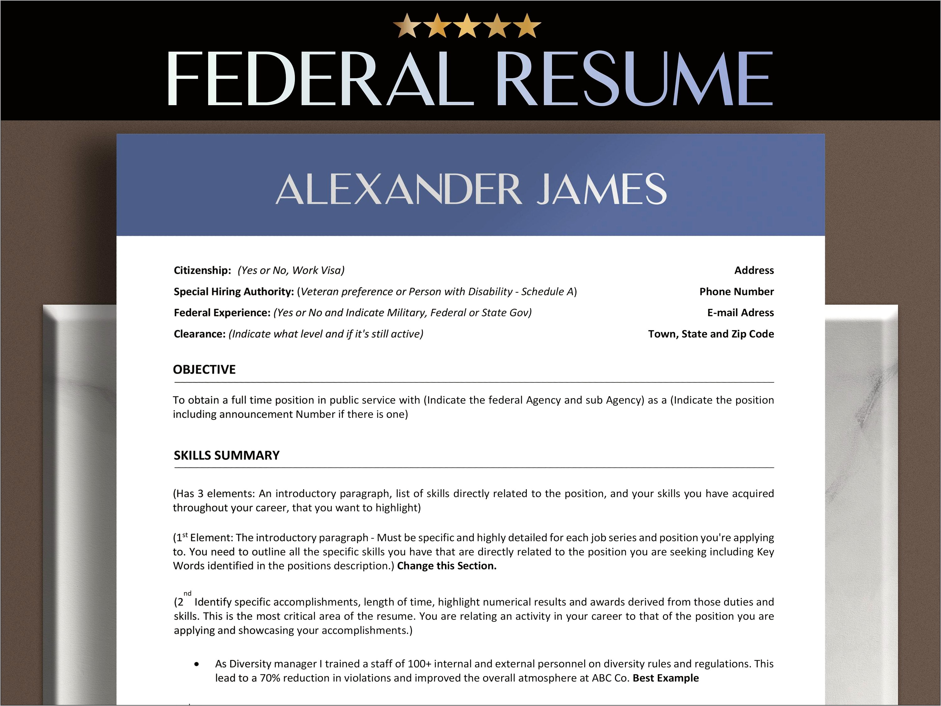 Canadian Federal Government Resume Samples