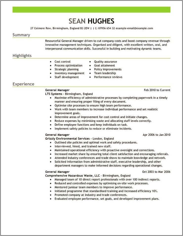 Career Summary On Resume Example