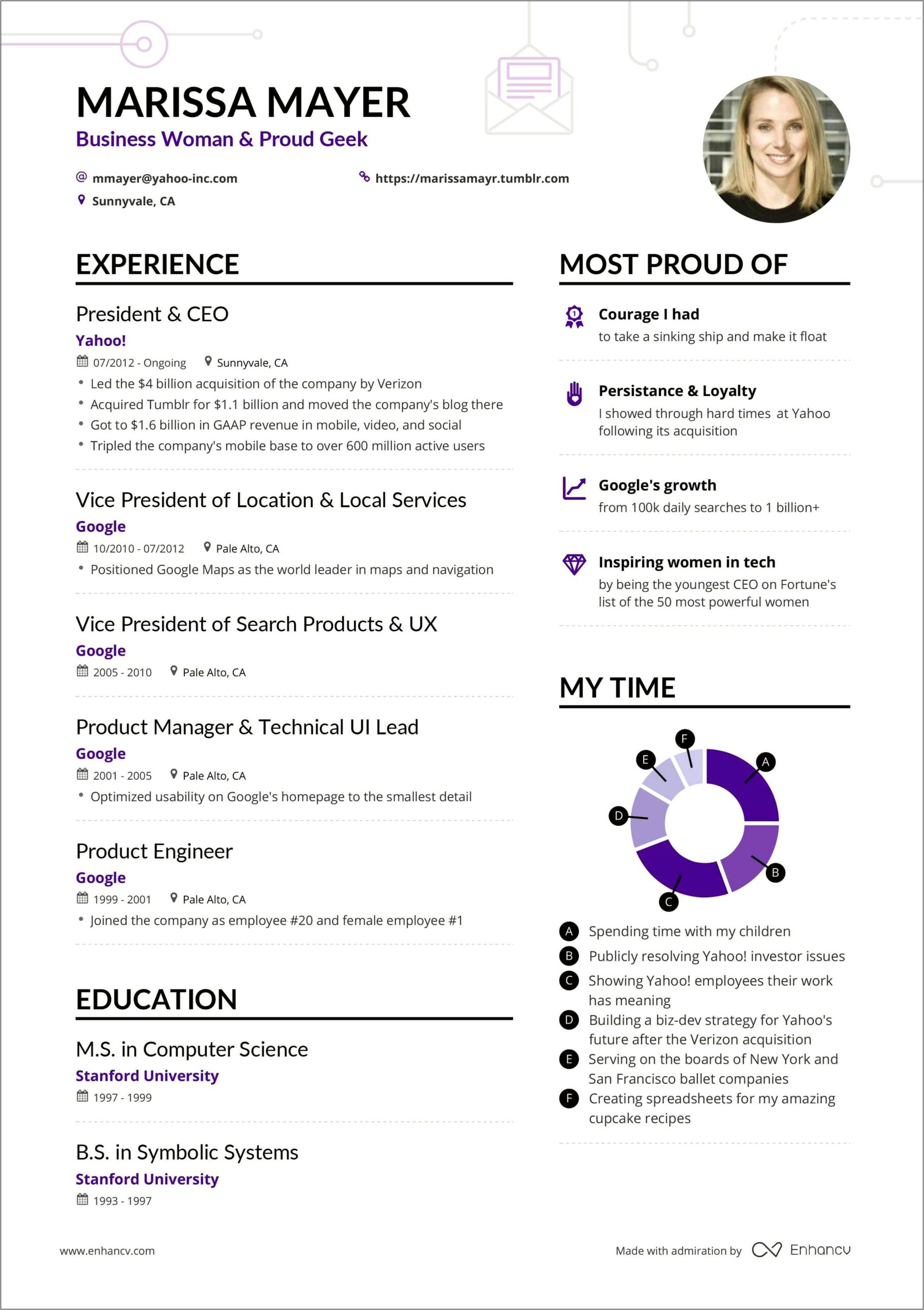 Ceo Resume Sample Free Download