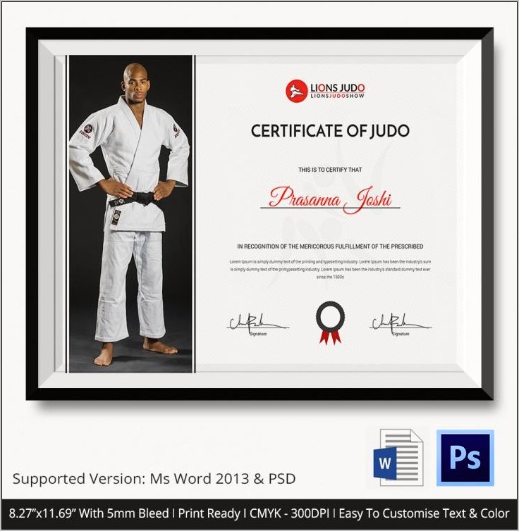 Certificate Of Completion Template Download Martial Arts