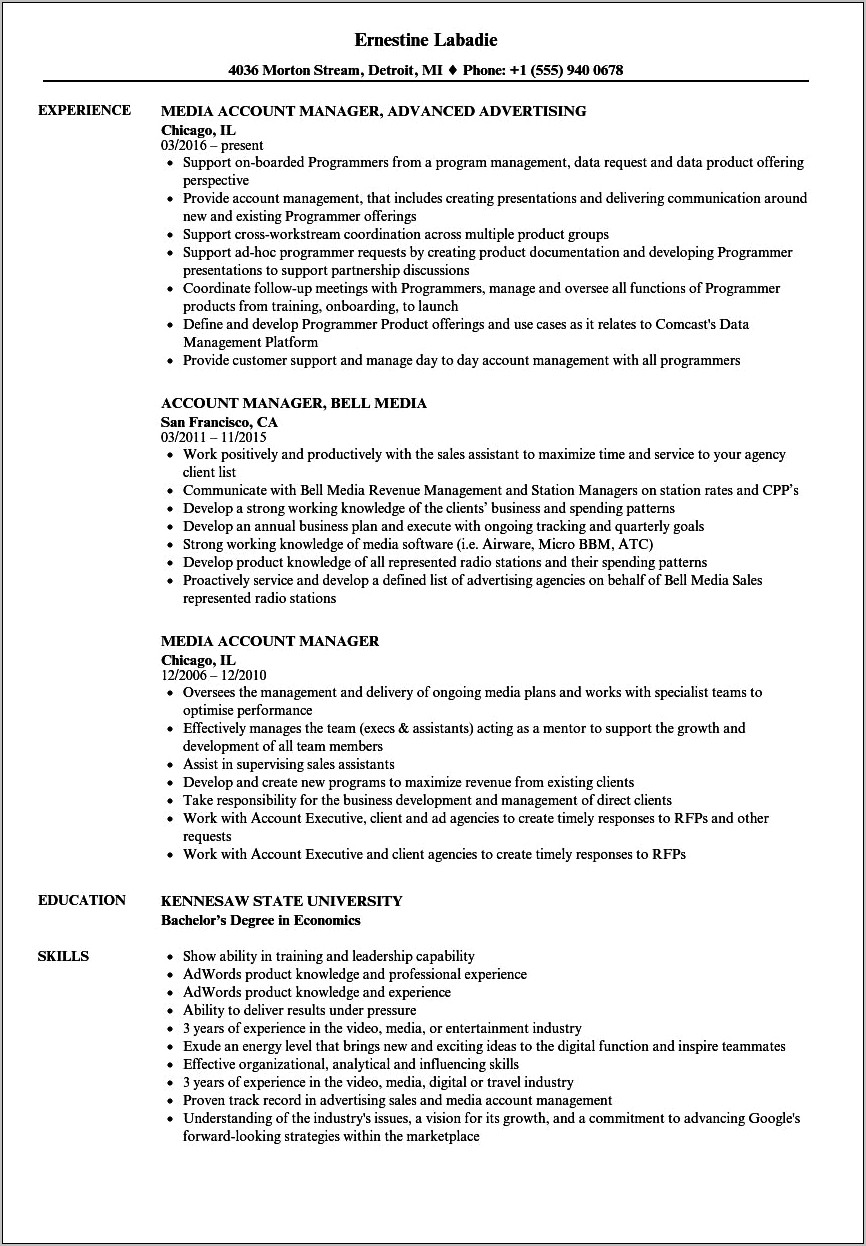 Channel Account Manager Resume Summary