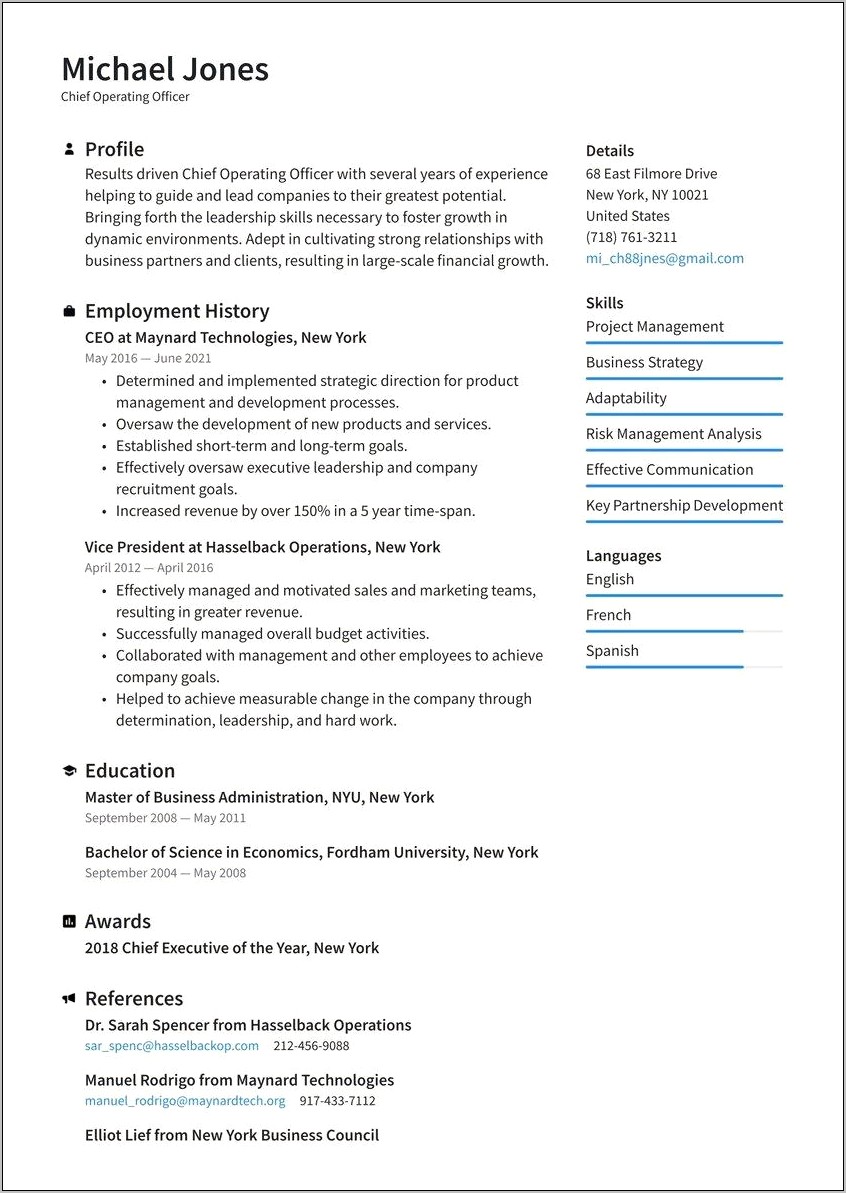 Chief Administrative Officer Resume Example