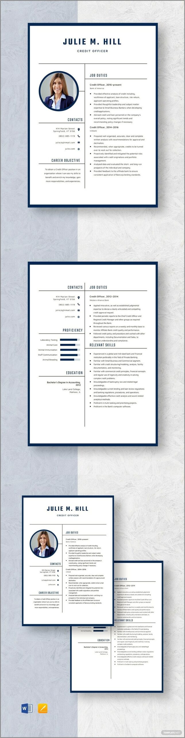 Chief Credit Officer Resume Samples