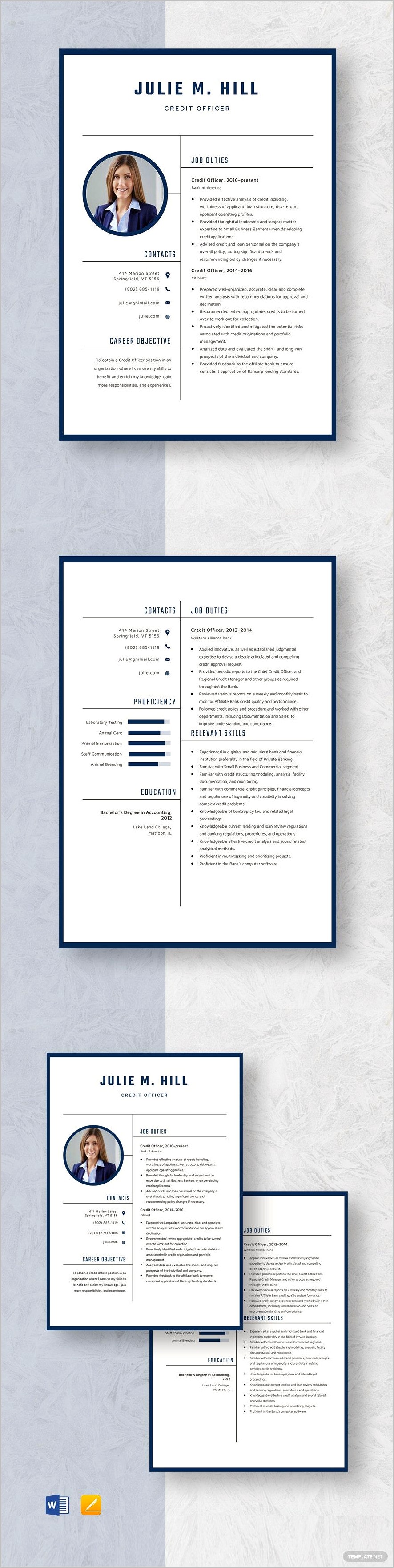 Chief Credit Officer Resume Samples