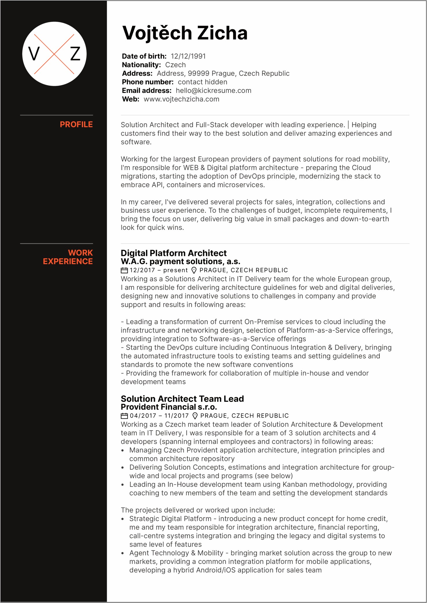 Chief Software Architect Resume Example