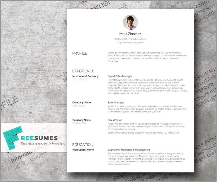 Clean Resume Templates Free Download