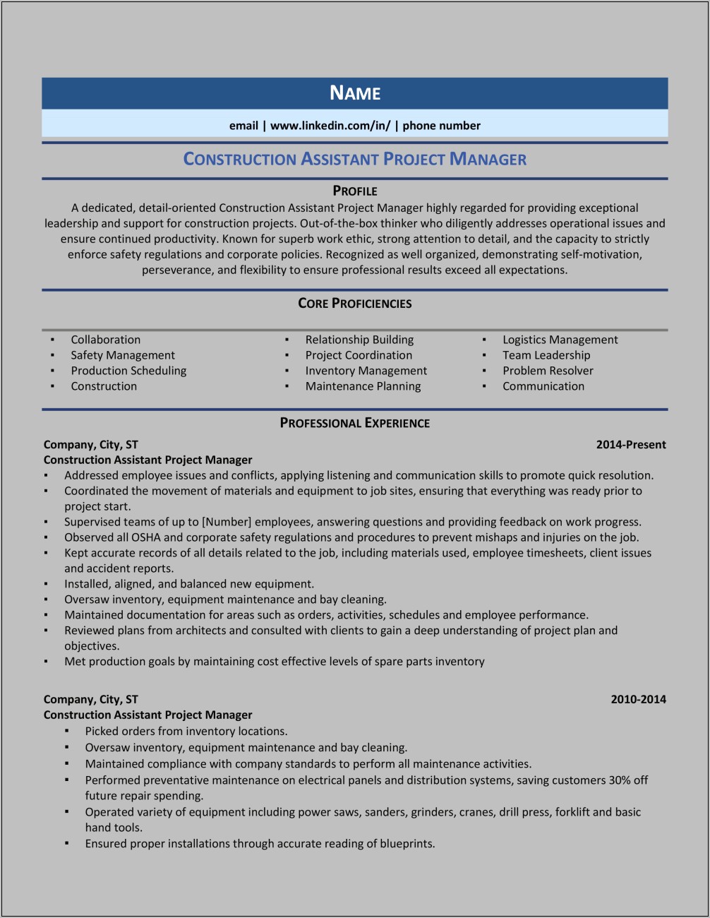 Client Relationship Project Manager Resume
