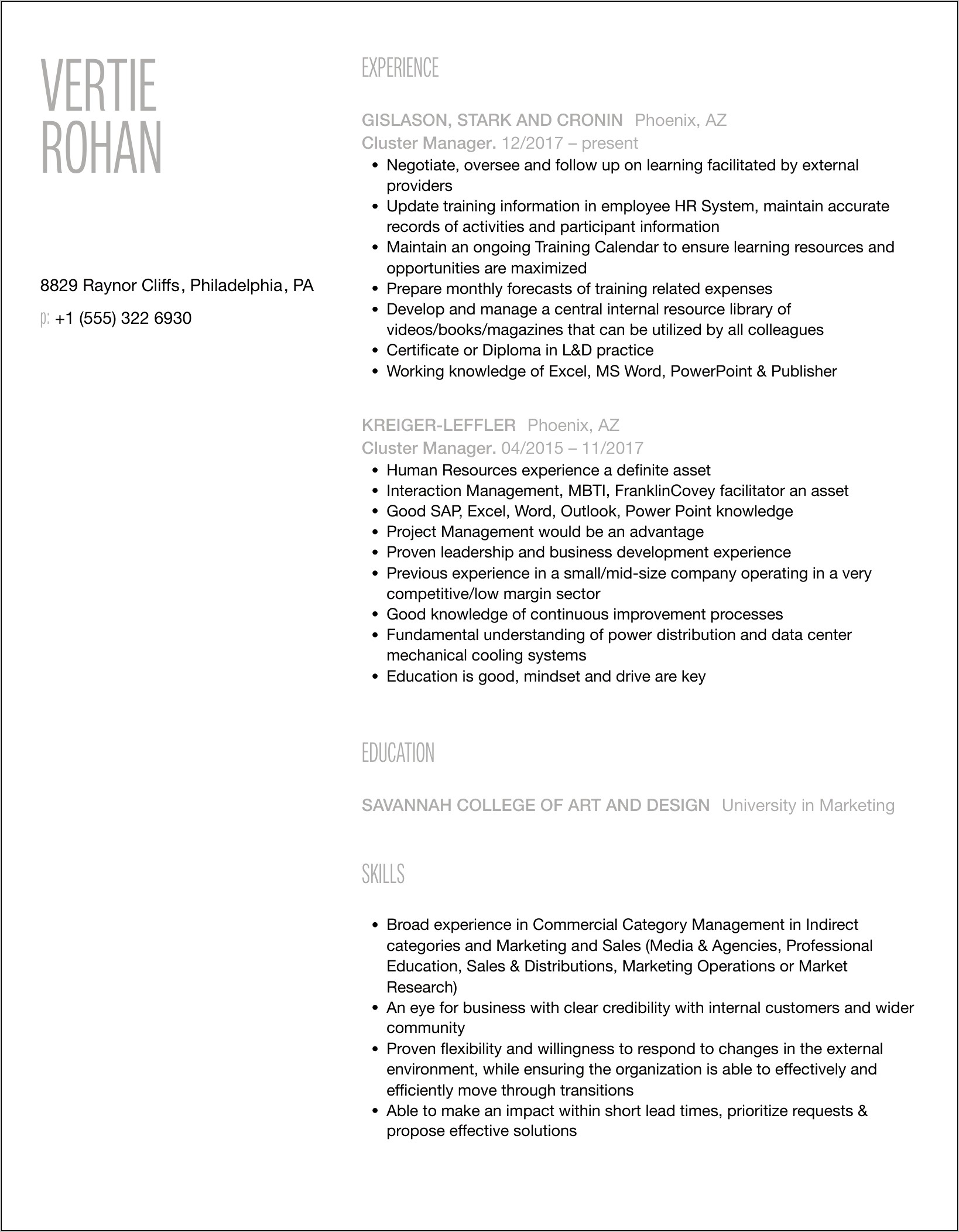 Cluster Sales Manager Resume Format