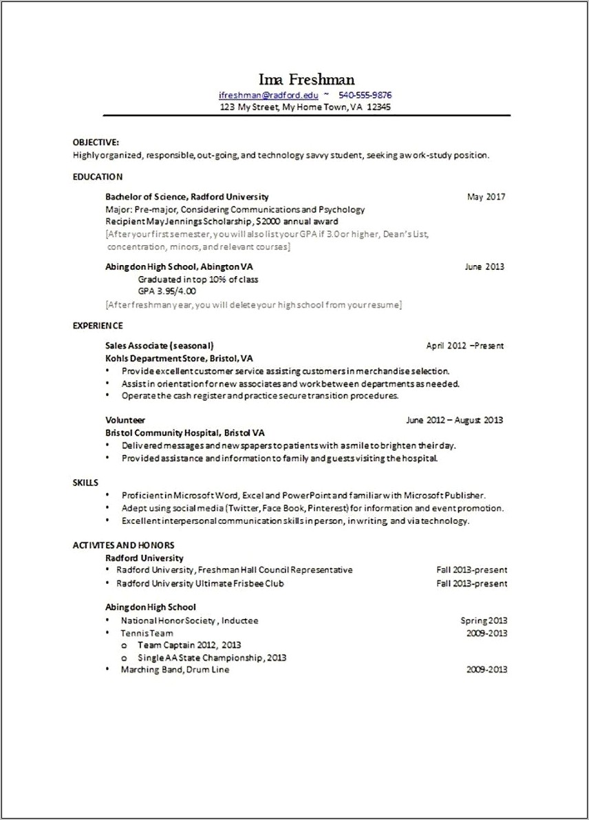 Combined Resume Format Template Free