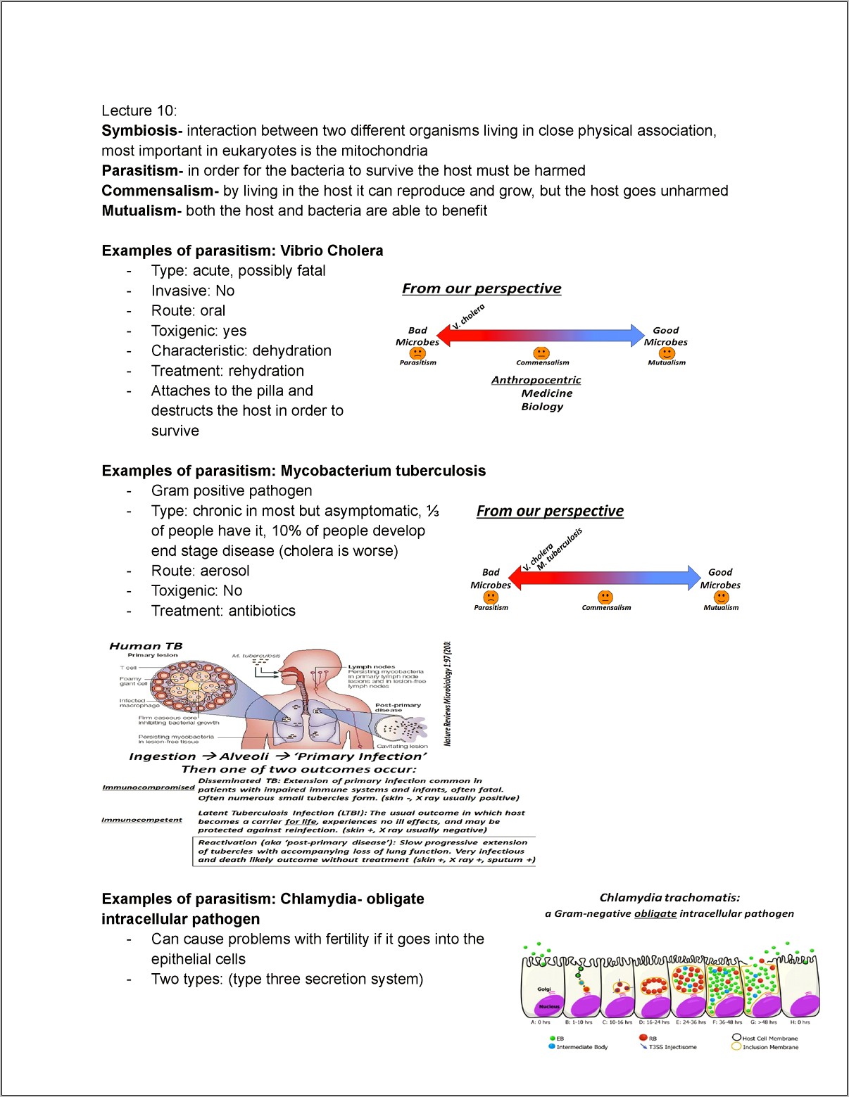 Commensalism Skills Fir A Resume