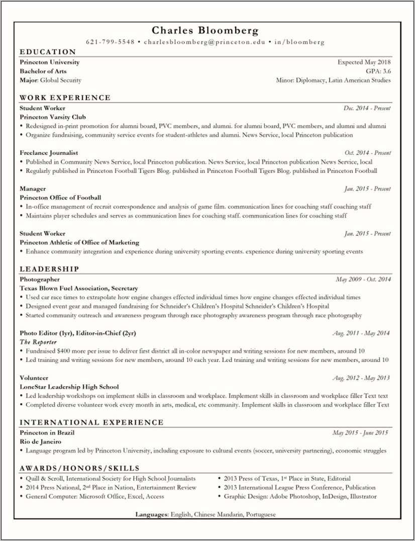 Computer Related Skills Resume Reddit