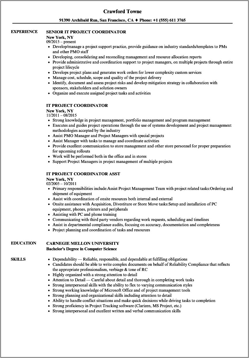 Construction Project Assistant Resume Examples