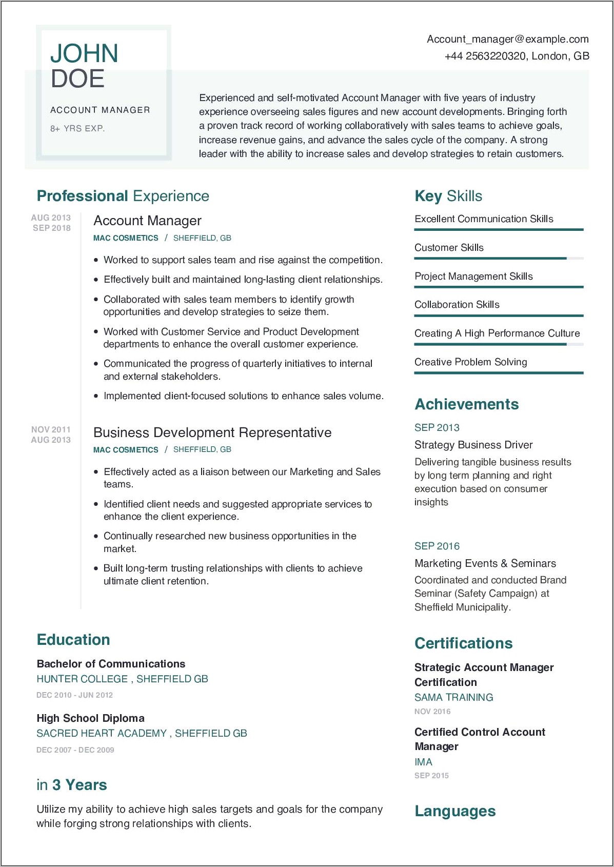 Consumer Insights Manager Resume Example