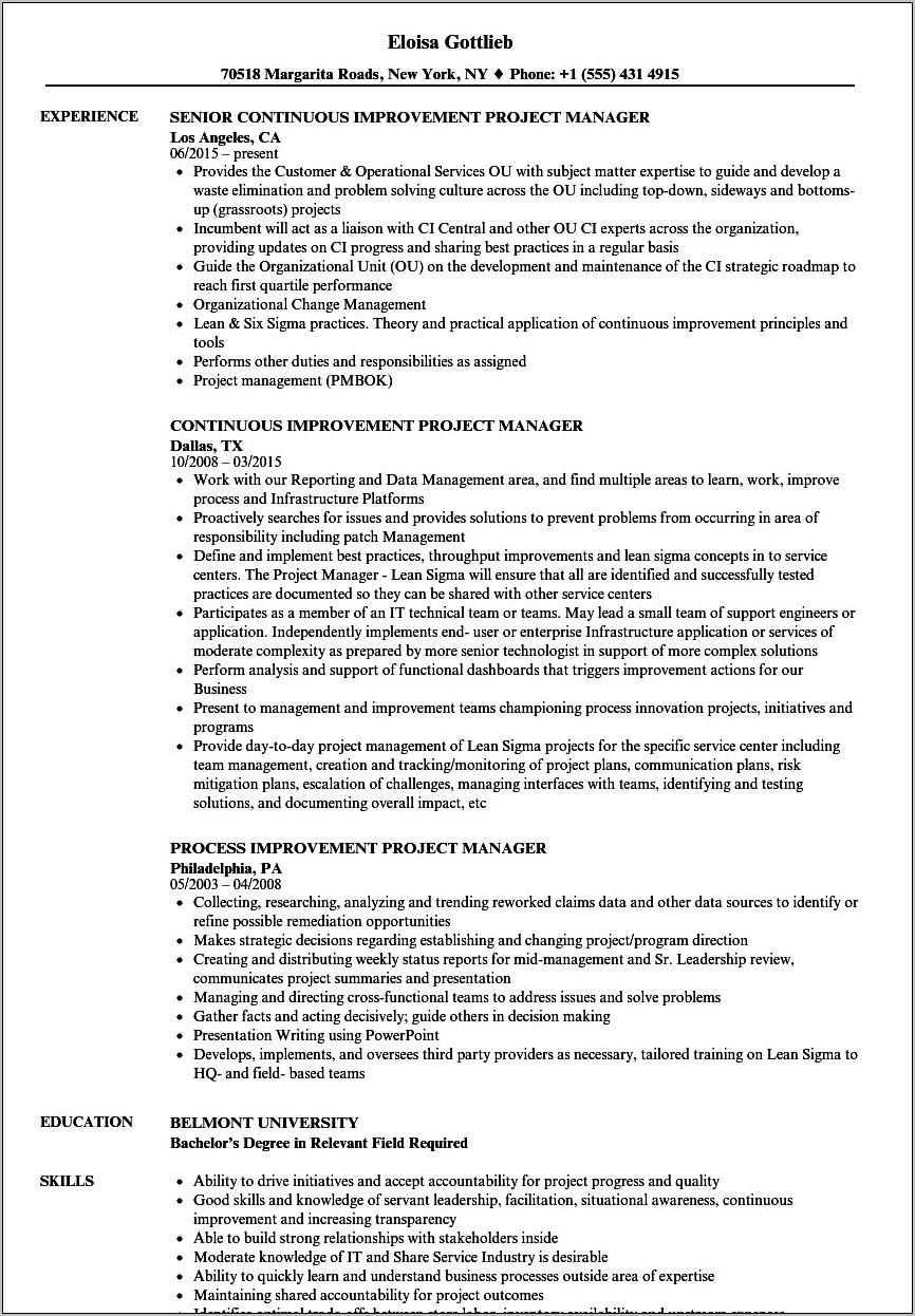 Continuous Improvement Manager Resume Examples