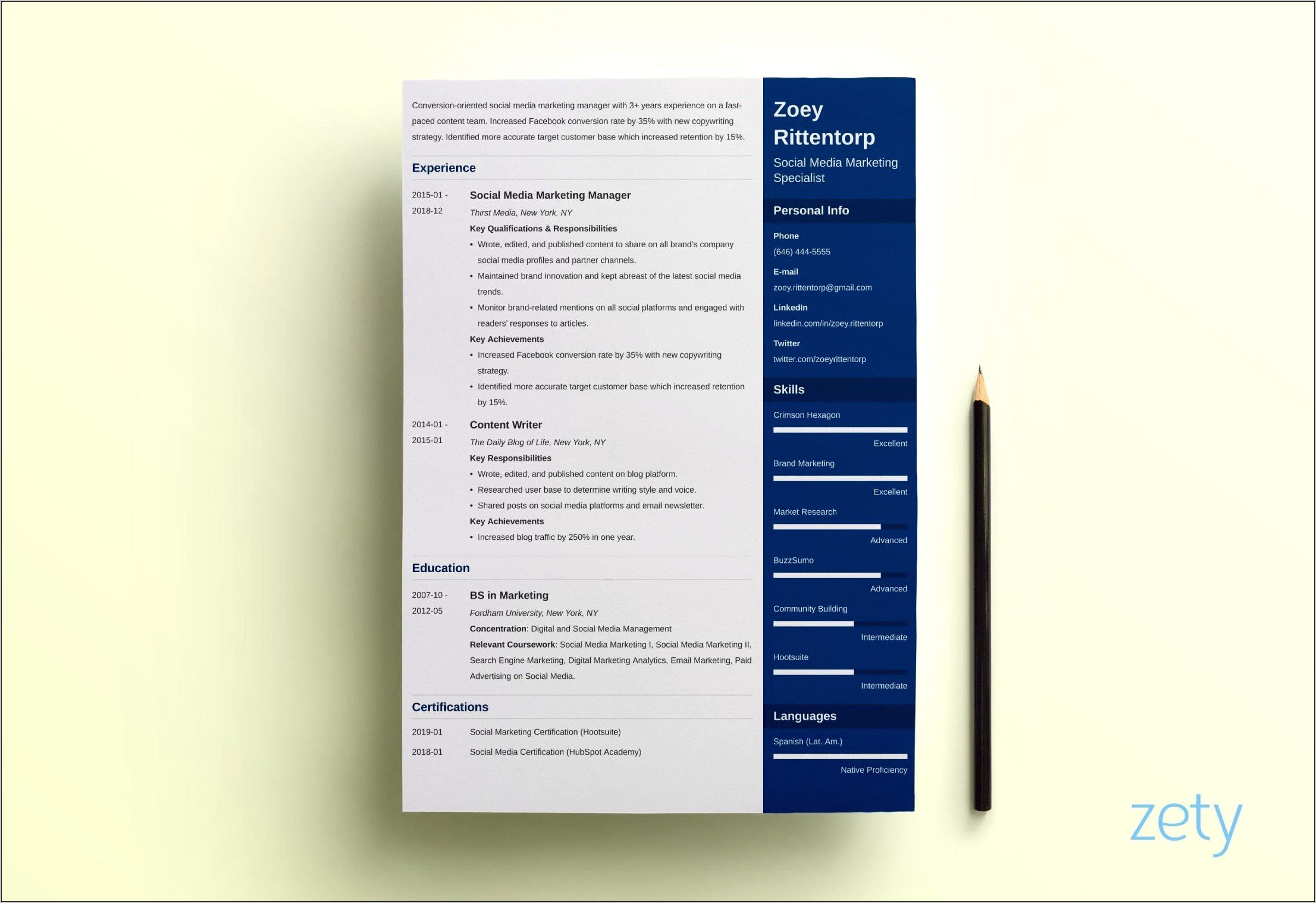 Creative Slaes Resume 2019 Examples