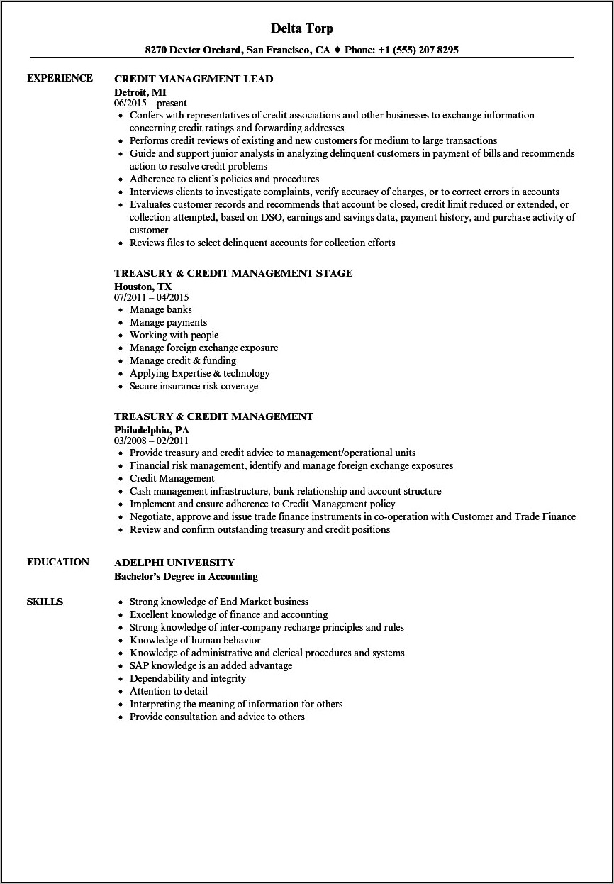 Credit Card Risk Management Resume