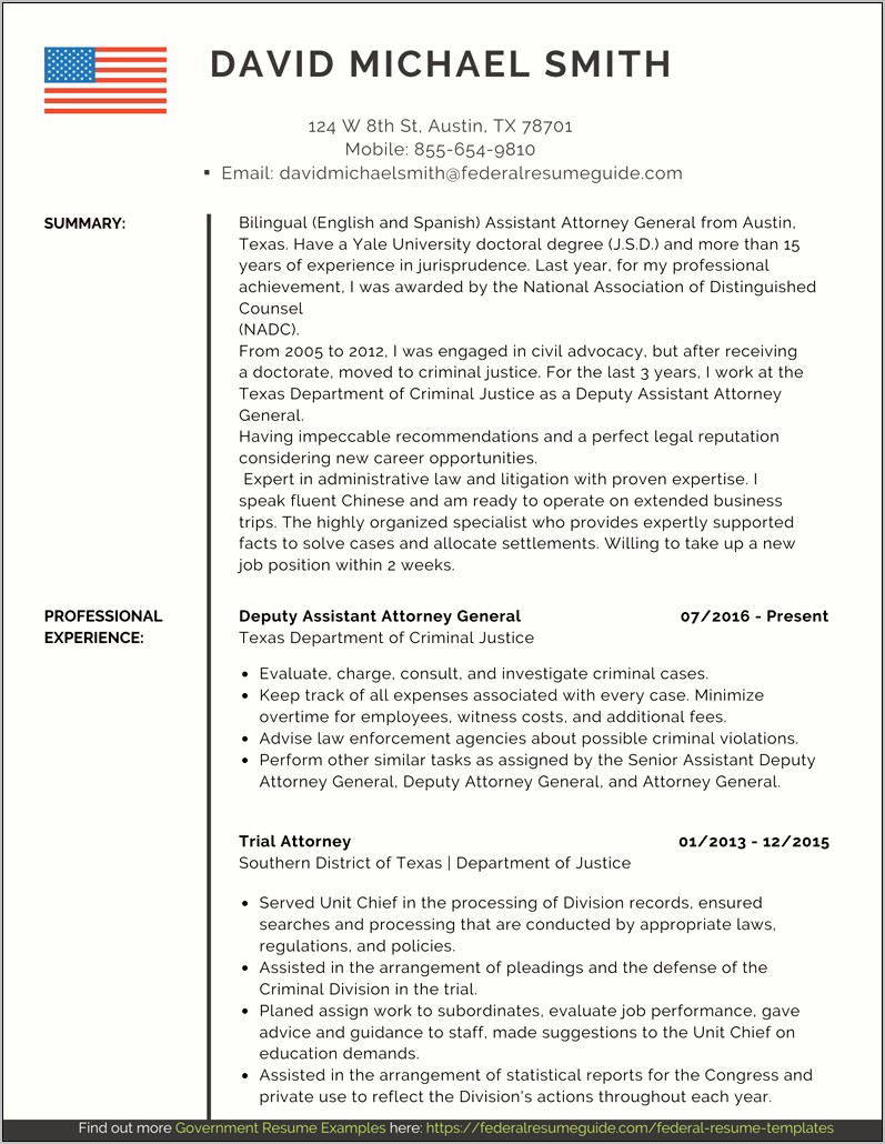 Criminal Justice Resume Summary Examples