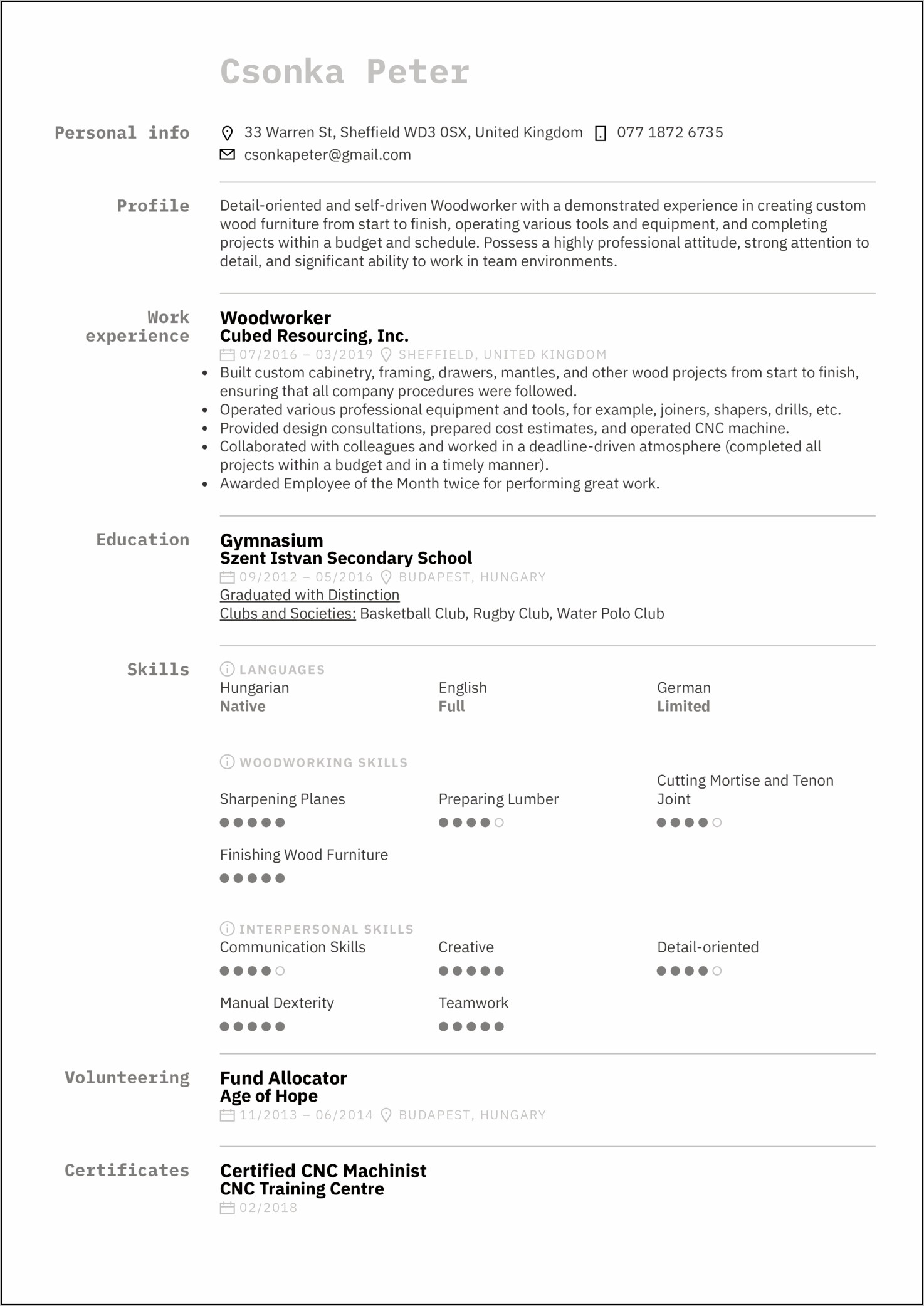 Custom Skill In Resume Example