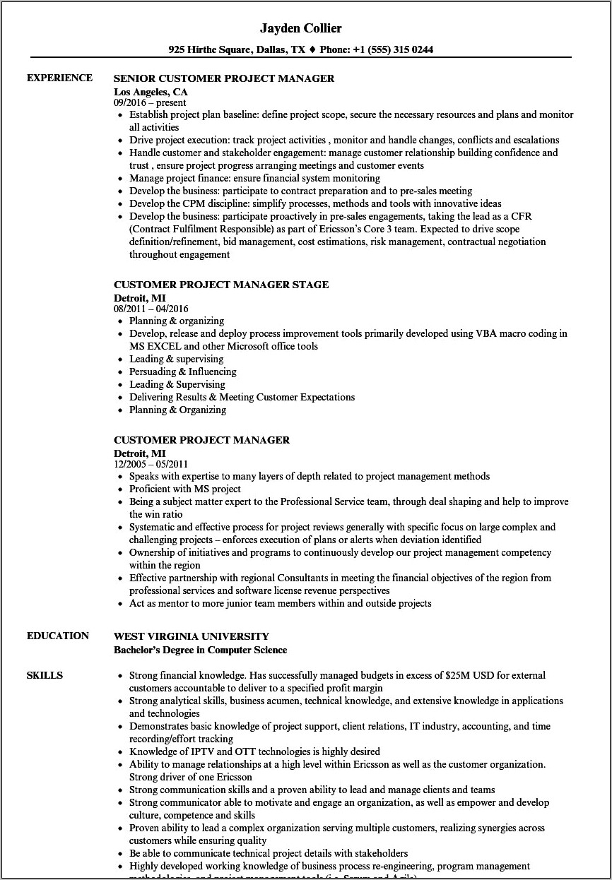 Customer Experience Project Manager Resume