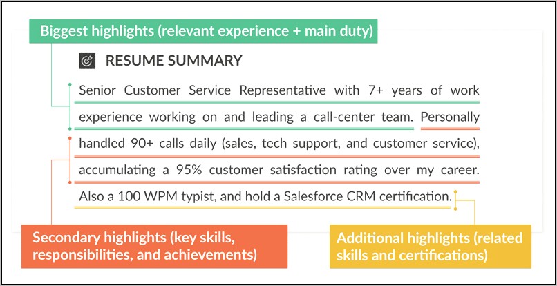 Cv Resume Profile Summary Example
