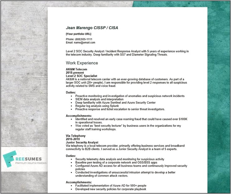 Cyber Security Specialist Resume Sample