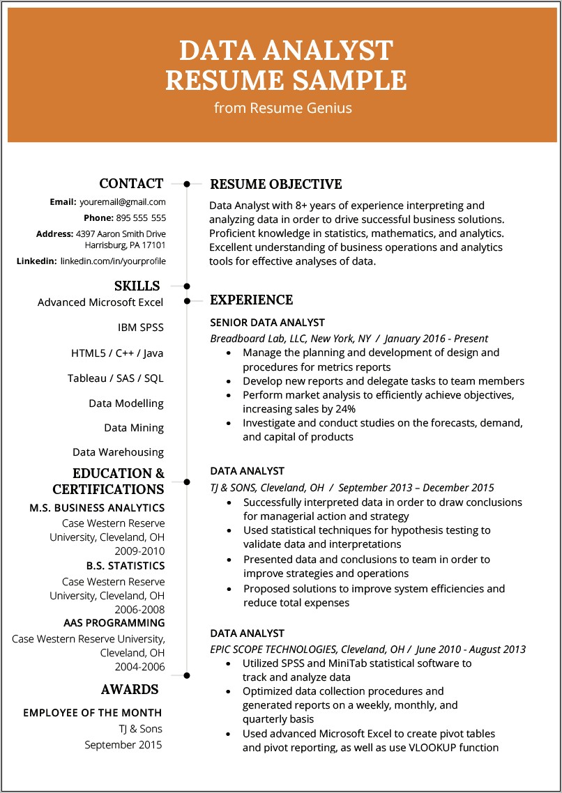 Data Analyst Excel Resume Sample