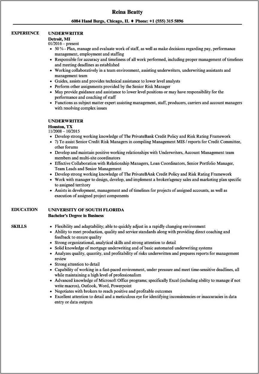 De Mortgage Underwriter Sample Resume