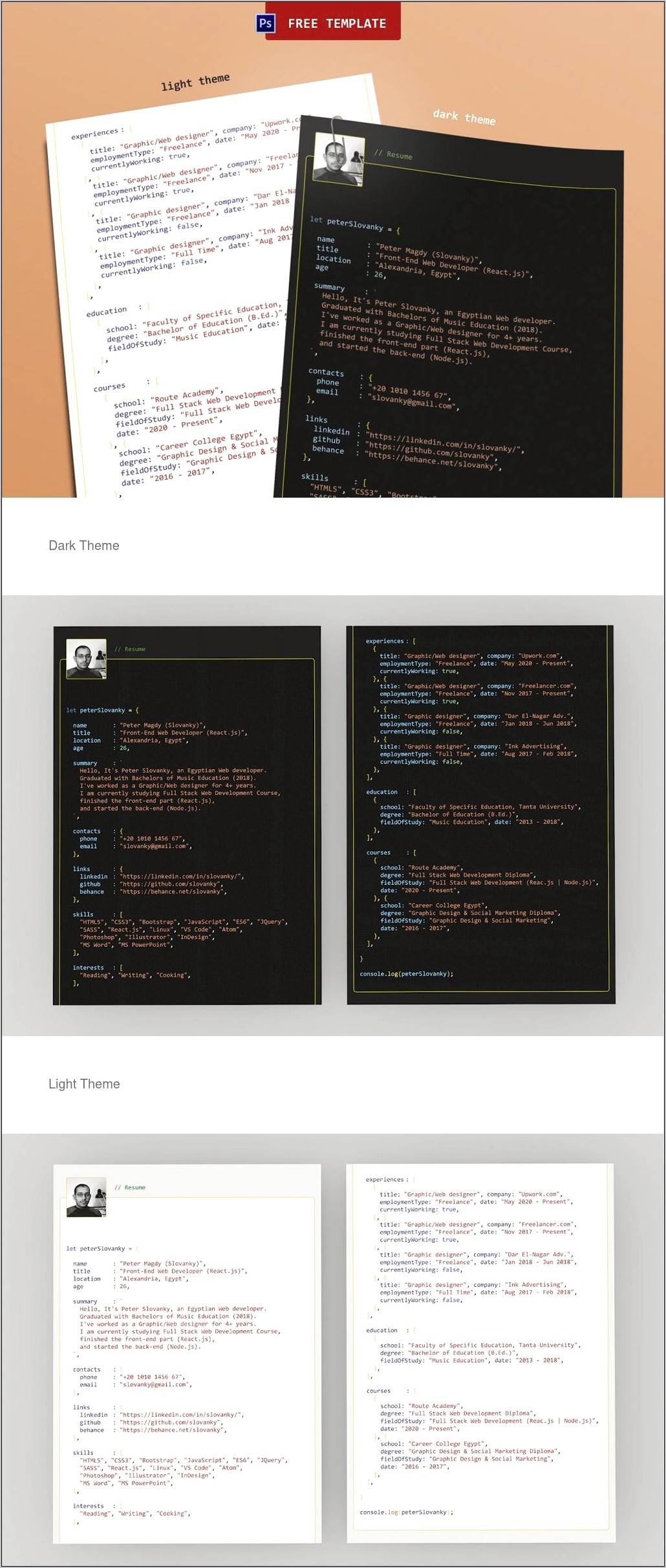 Developer Resume Template Free Download