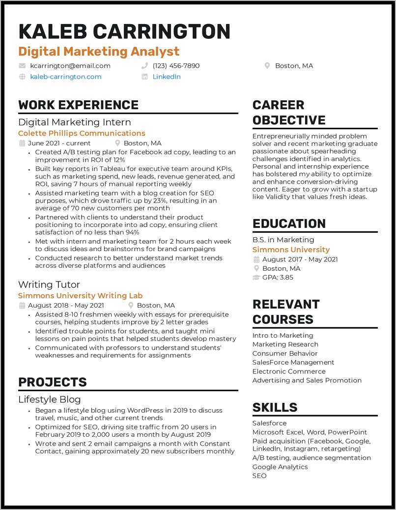 Digital Marketer Resume Best Examples